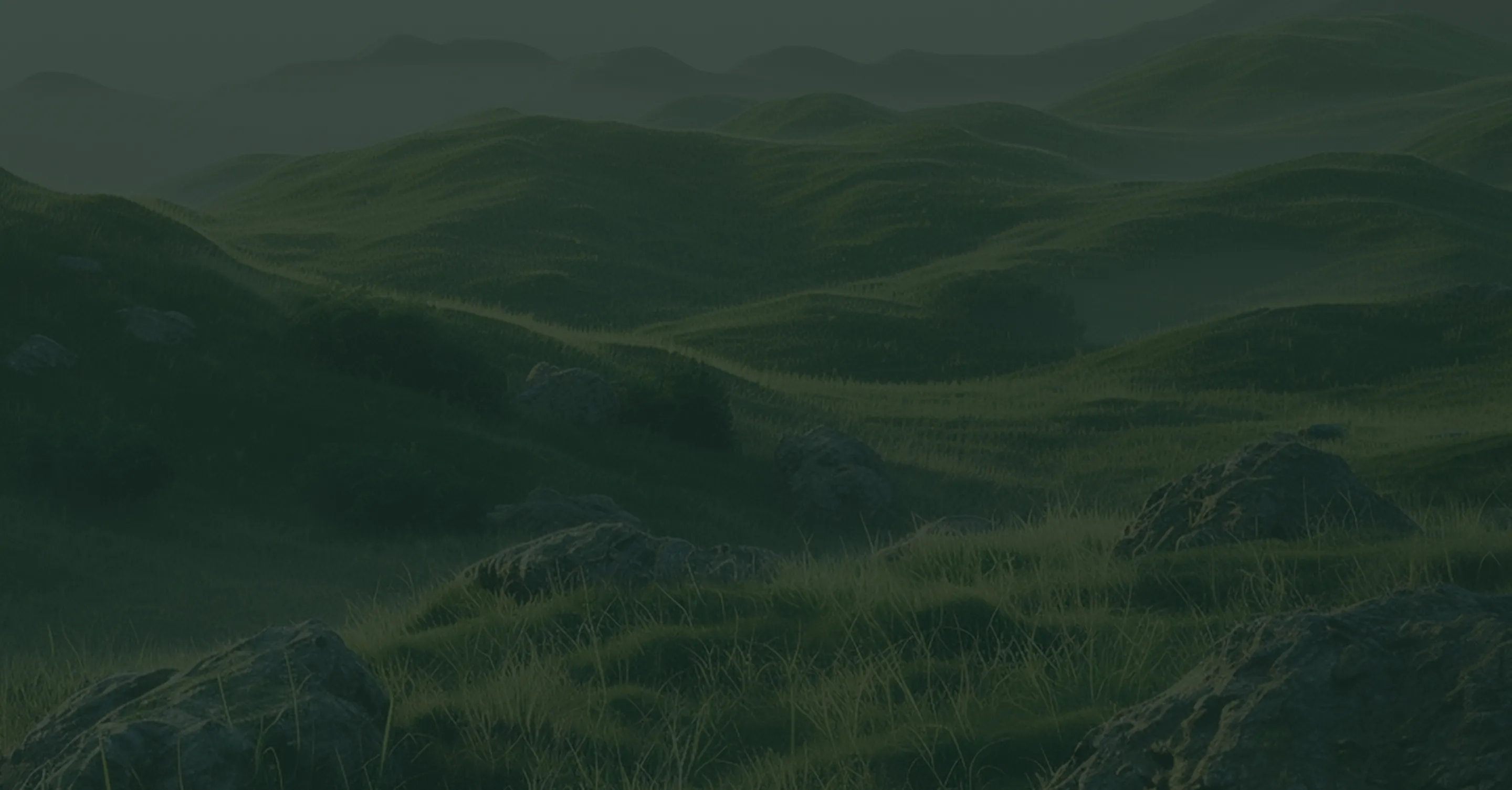 Rolling green hills covered with grass and scattered rocks under a hazy sky.