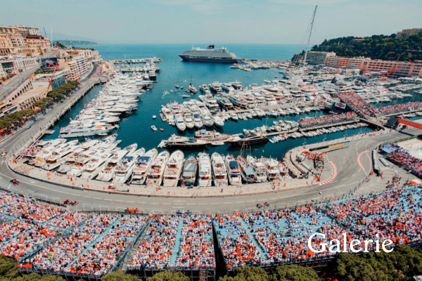 An Insider’s Guide to Formula 1