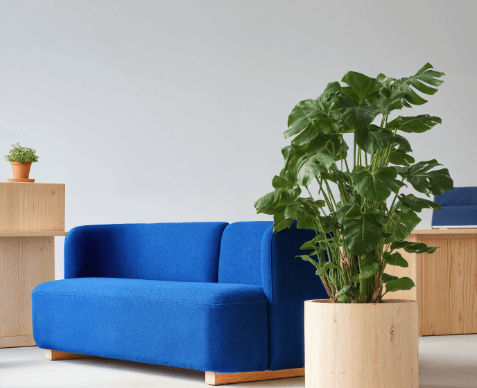 New York Small Thumbnail - Wealthflow Webflow Template | BRIX Template