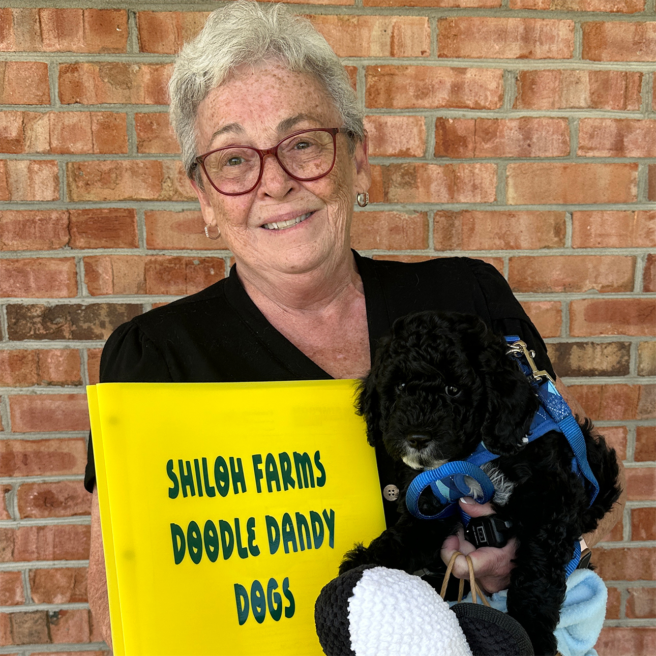 Smiling older woman with glasses holding a black curly-haired puppy and a bright yellow folder labeled Shiloh Farms Doodle Dandy Dogs.