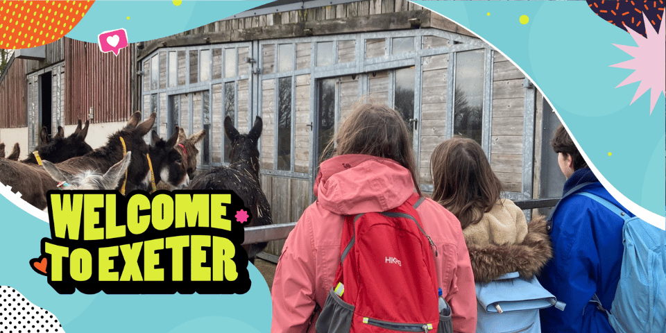 Trip to the Donkey Sanctuary