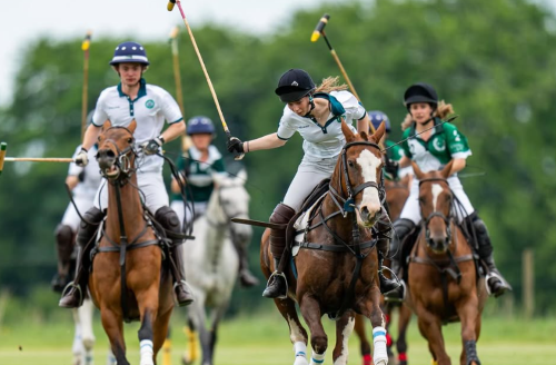 Polo Taster