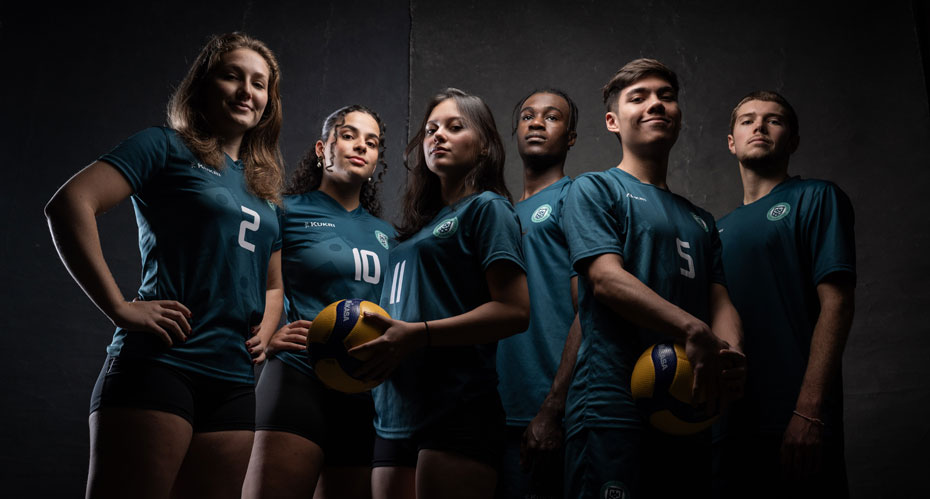 Volleyball Taster