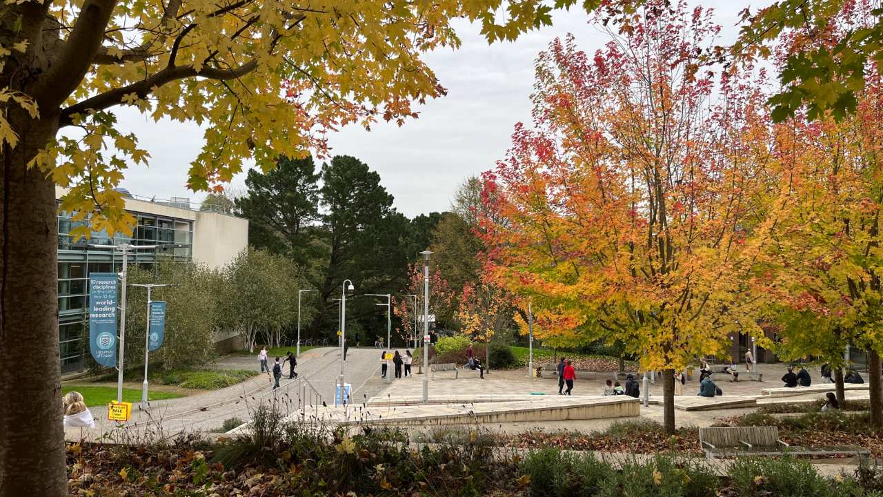 Looking for some budget friendly food options on campus? We've got you covered.