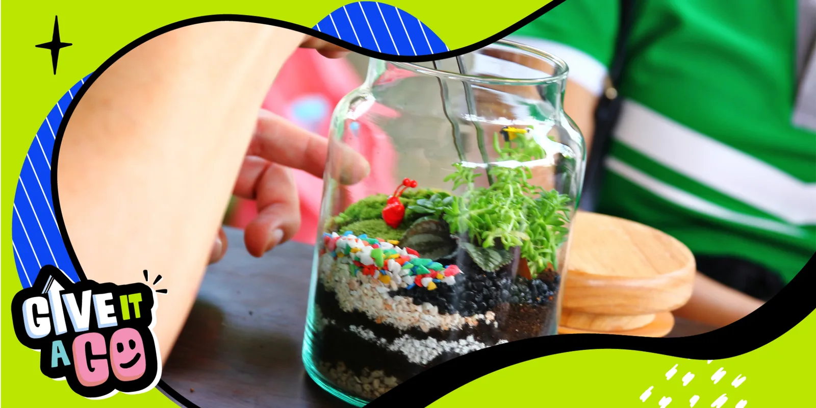 St Luke's Build Your Own Mini Terrarium