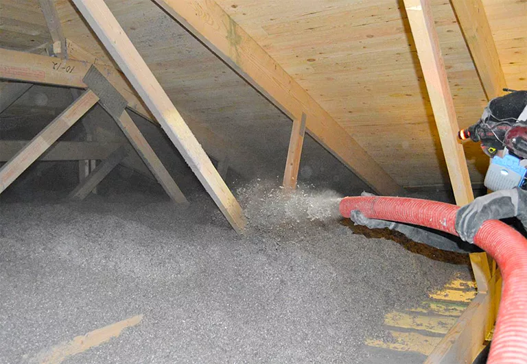 sunlit attic inspection