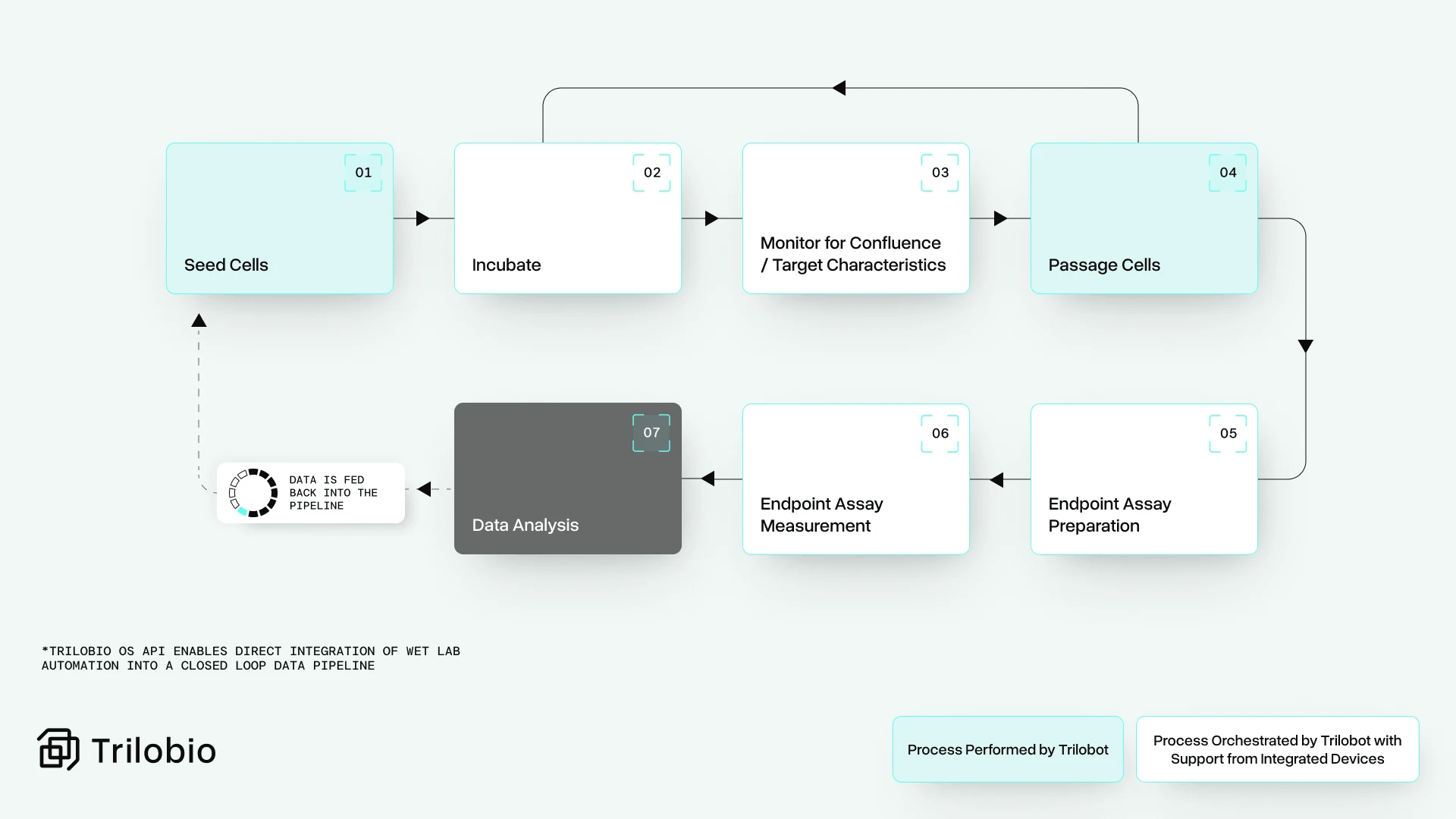 Automated cell culture workflow diagram