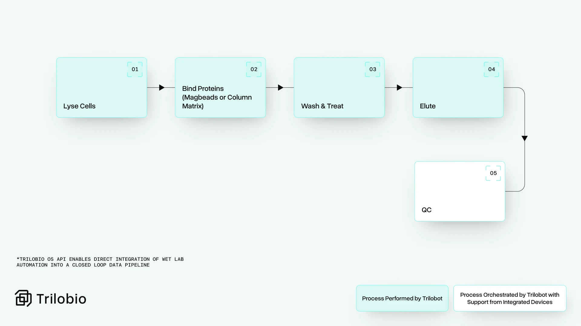 A protein purification workflow