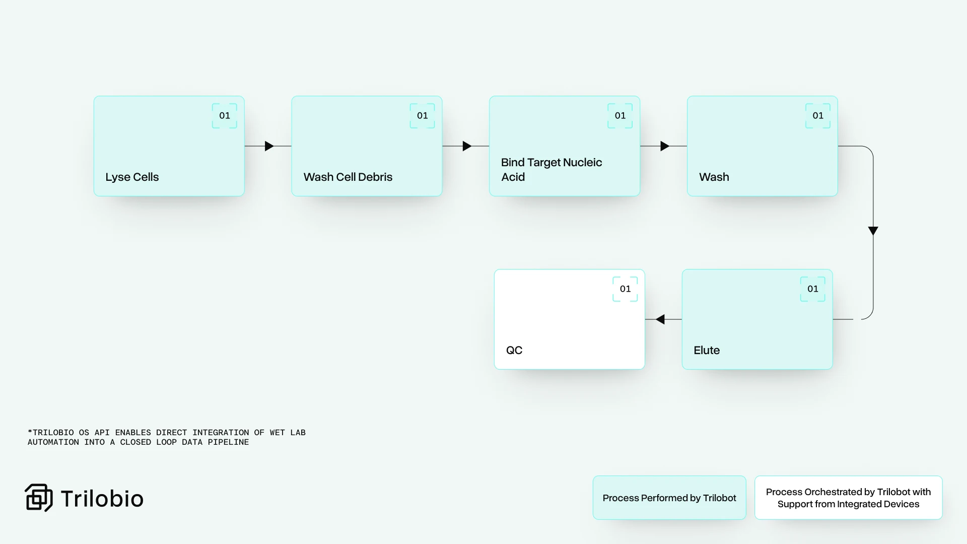 Workflow diagram of how automated nucleic acid extraction and RNA and DNA purification works
