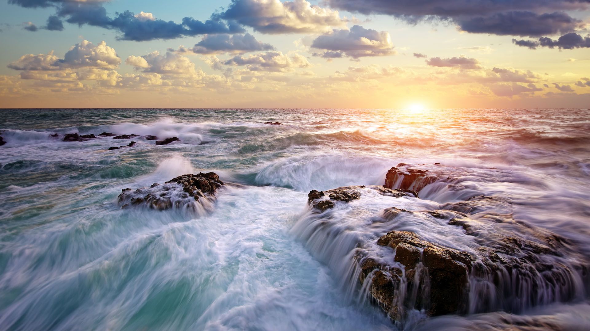 Plunging Into the Deep | DailyOM
