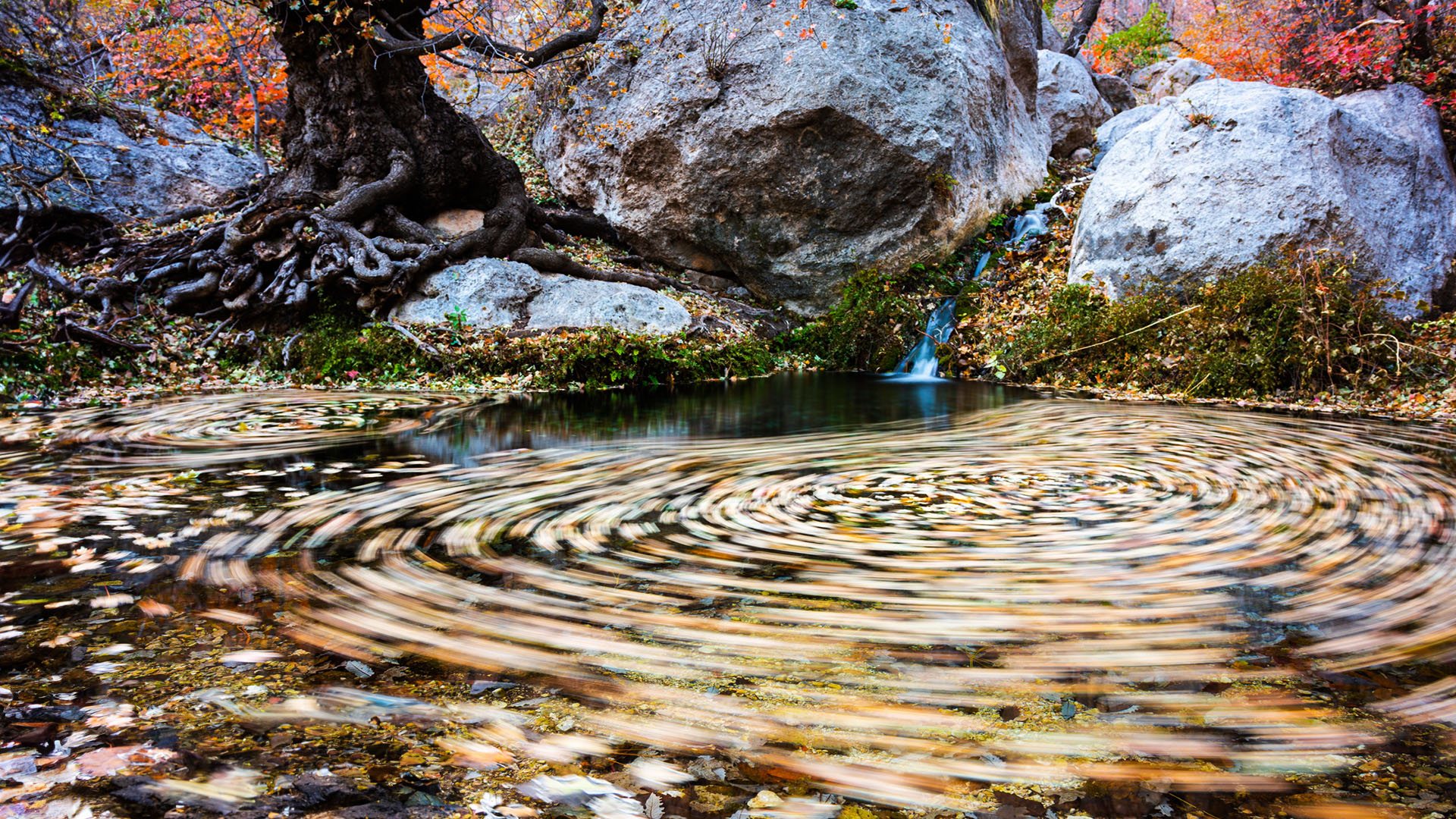 Nature image relating to the inspirational message