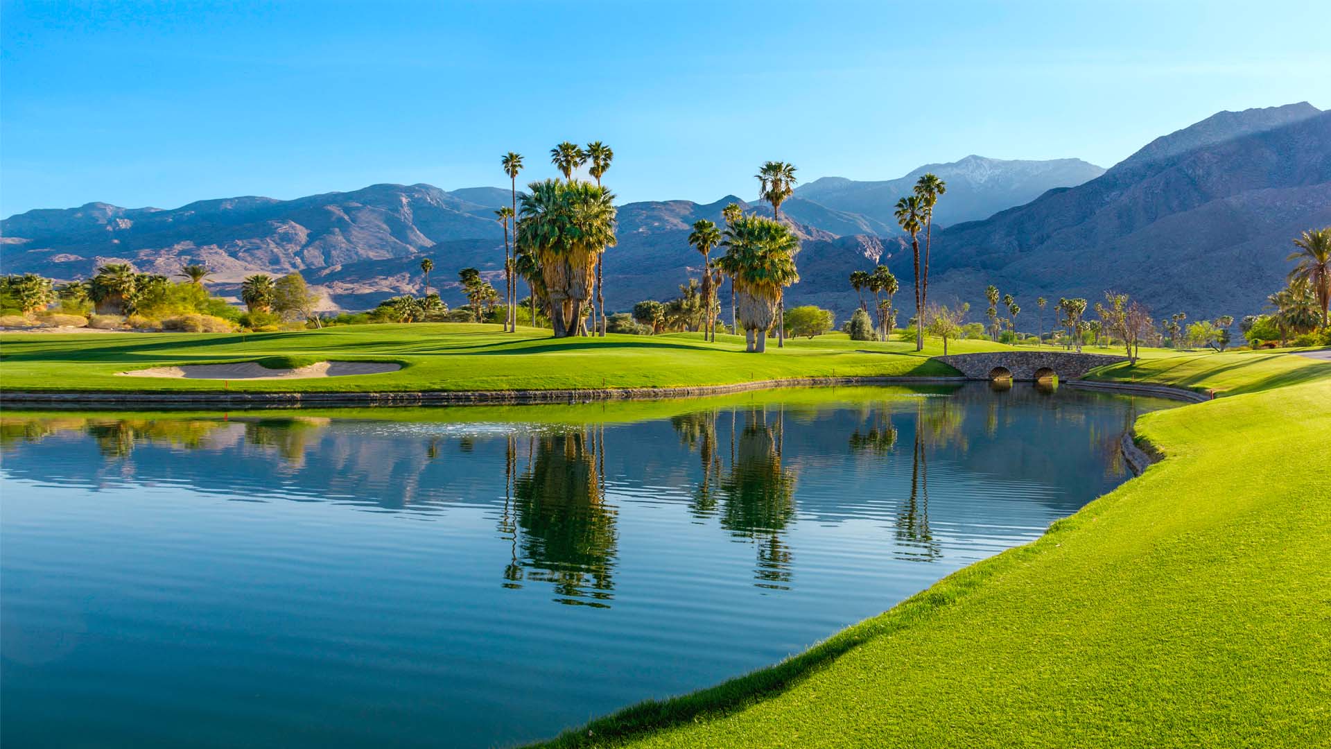 Nature image relating to the inspirational message