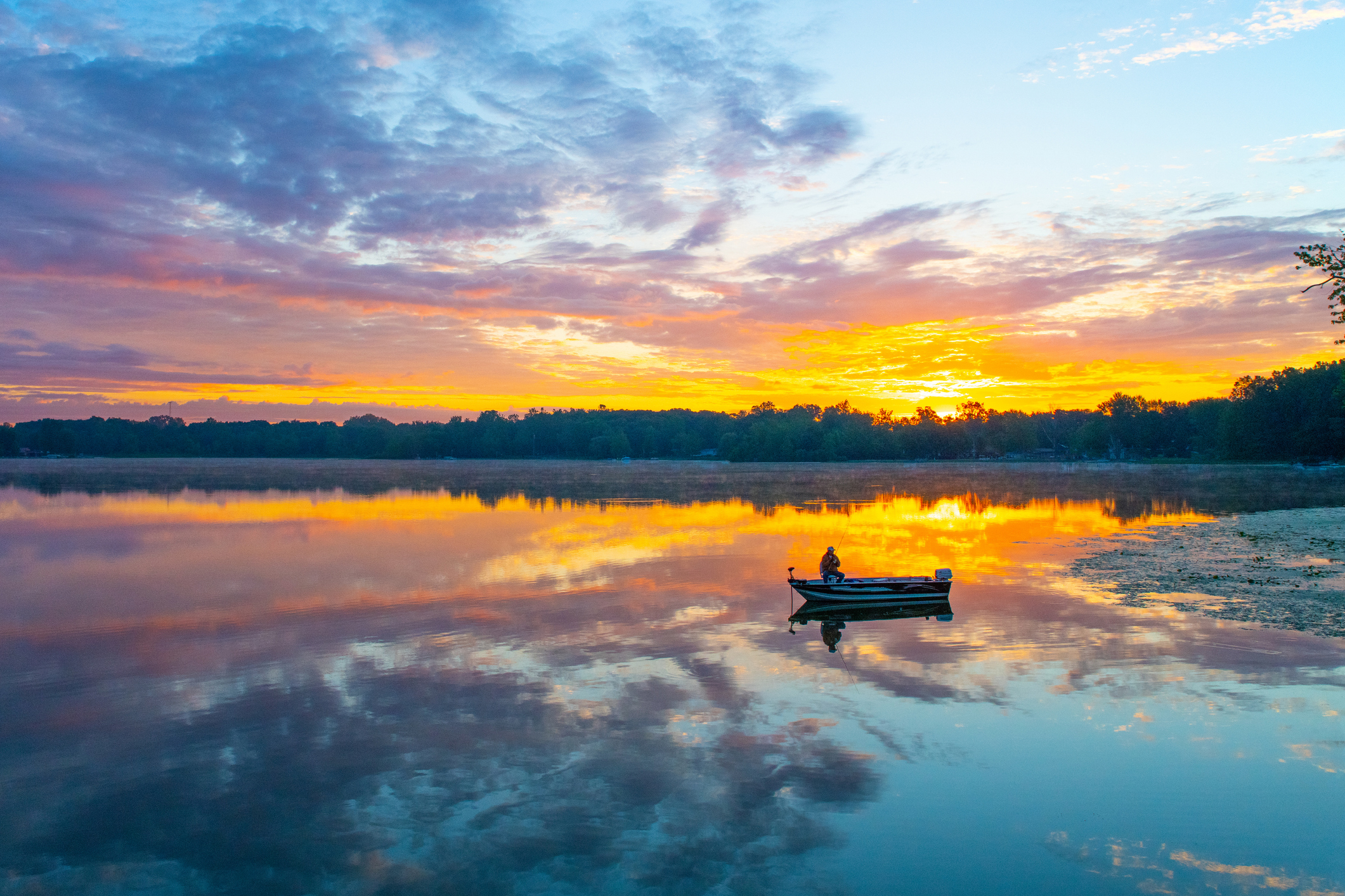 Nature image relating to the inspirational message