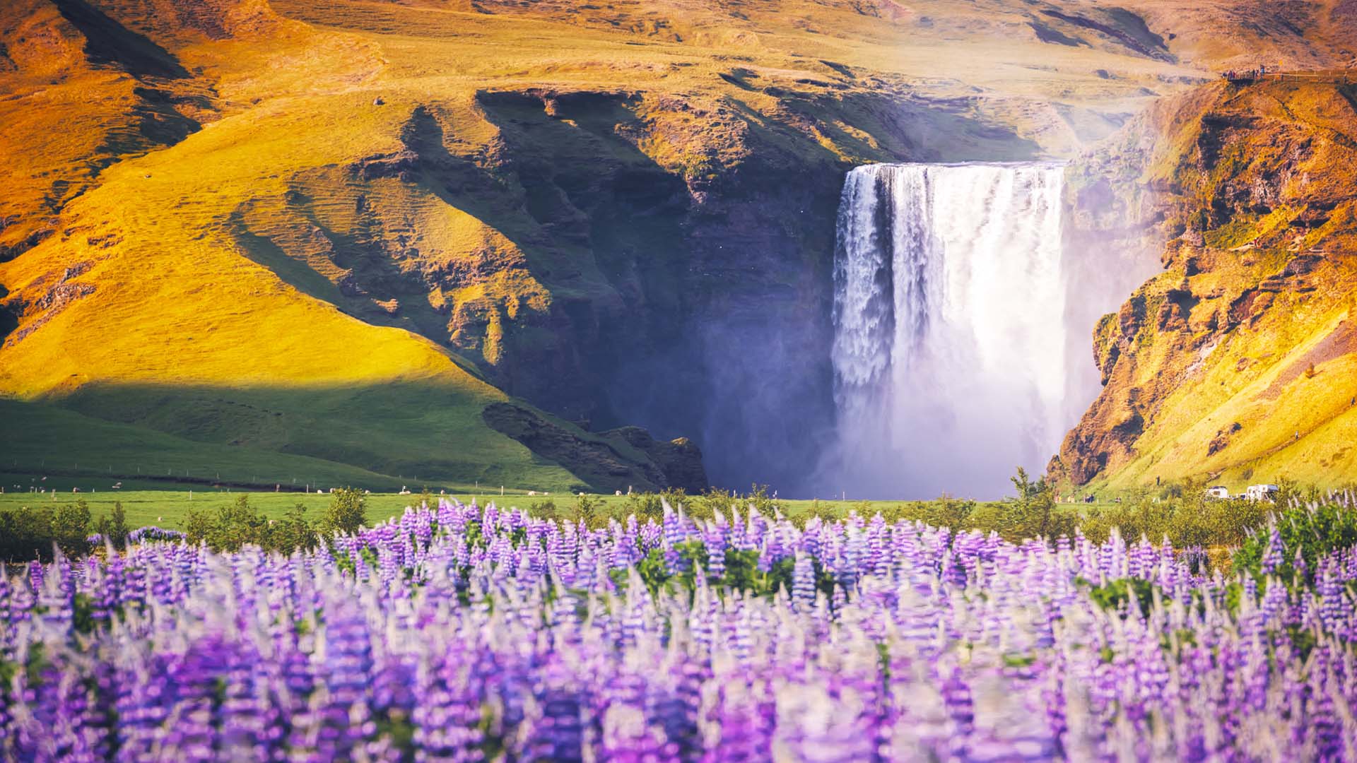 Nature image relating to the inspirational message