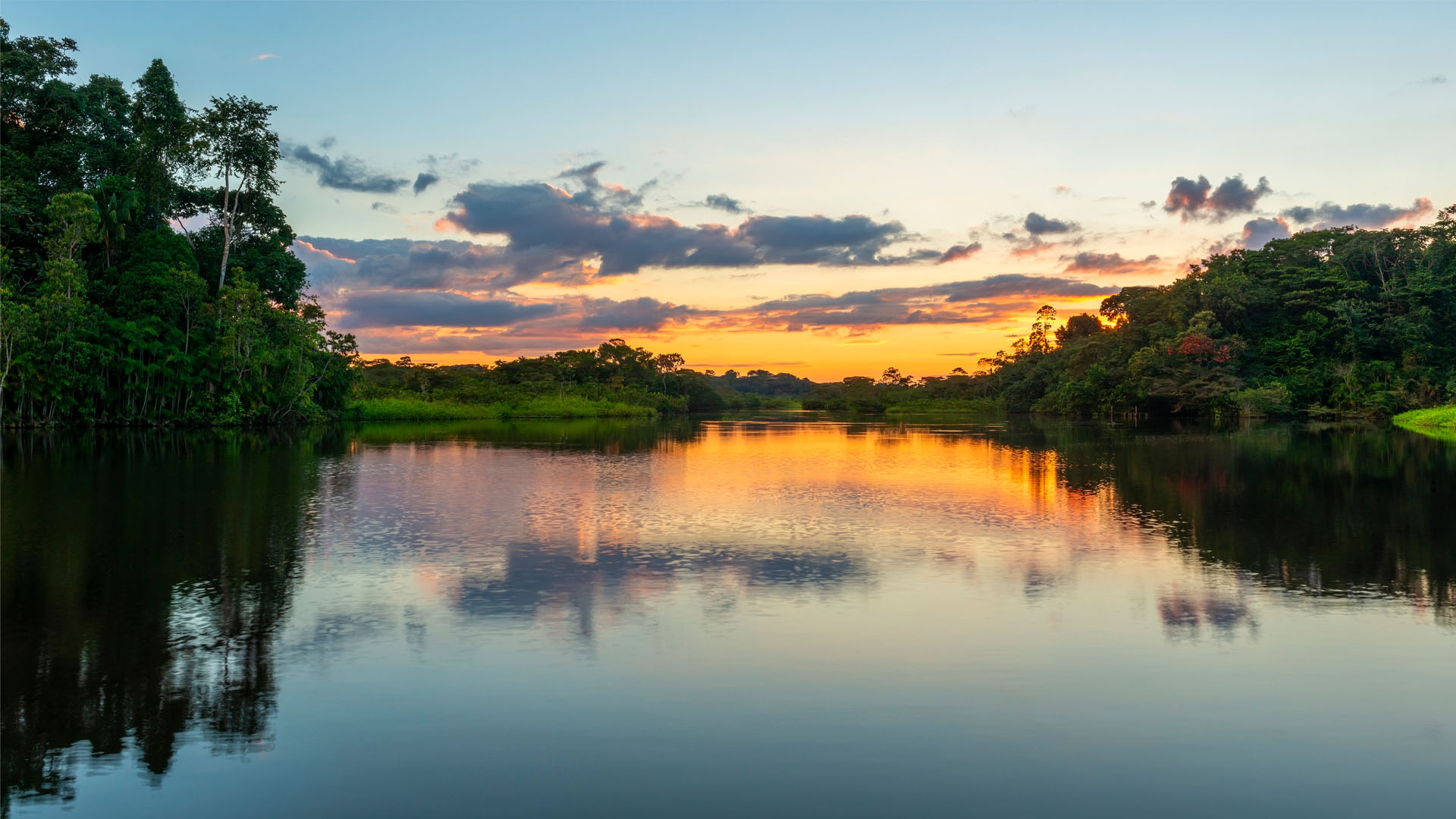 Nature image relating to the inspirational message