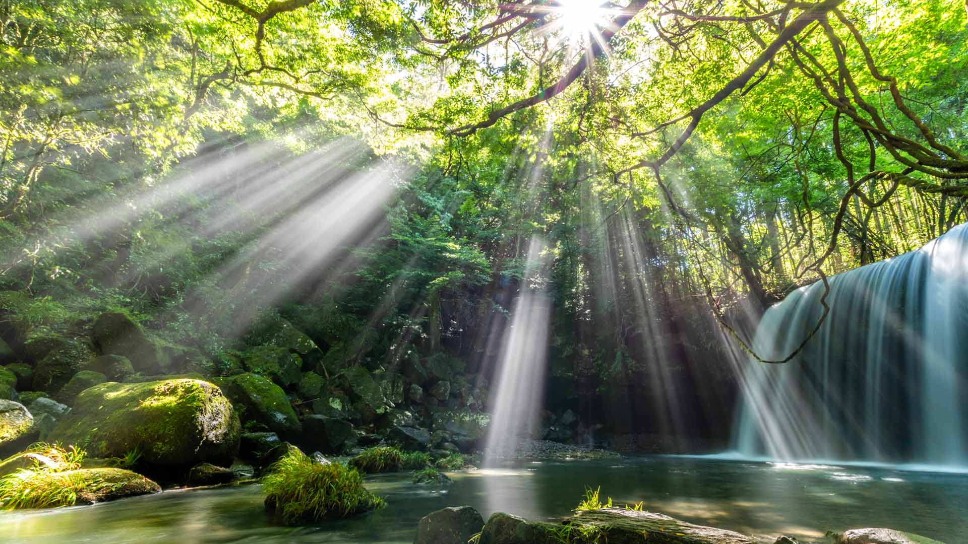 Nature image relating to the inspirational message