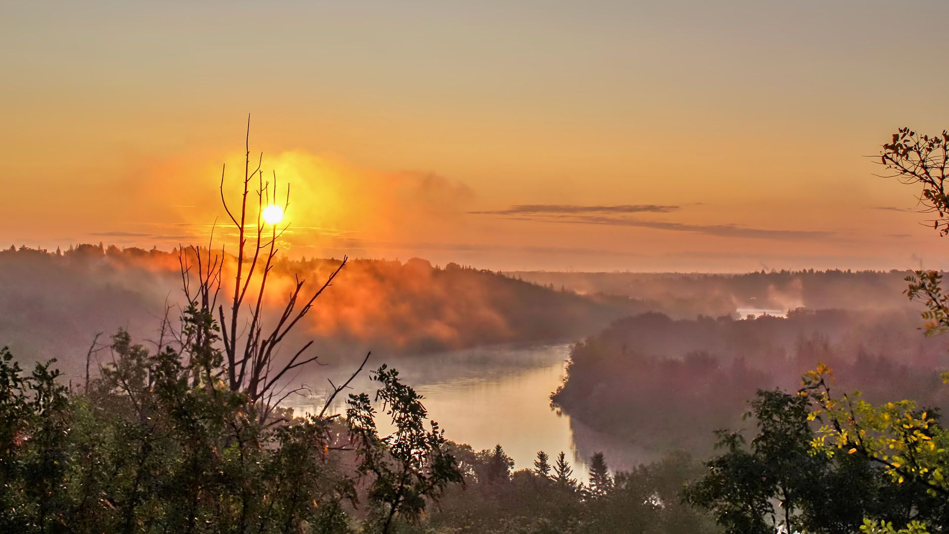 Nature image relating to the inspirational message