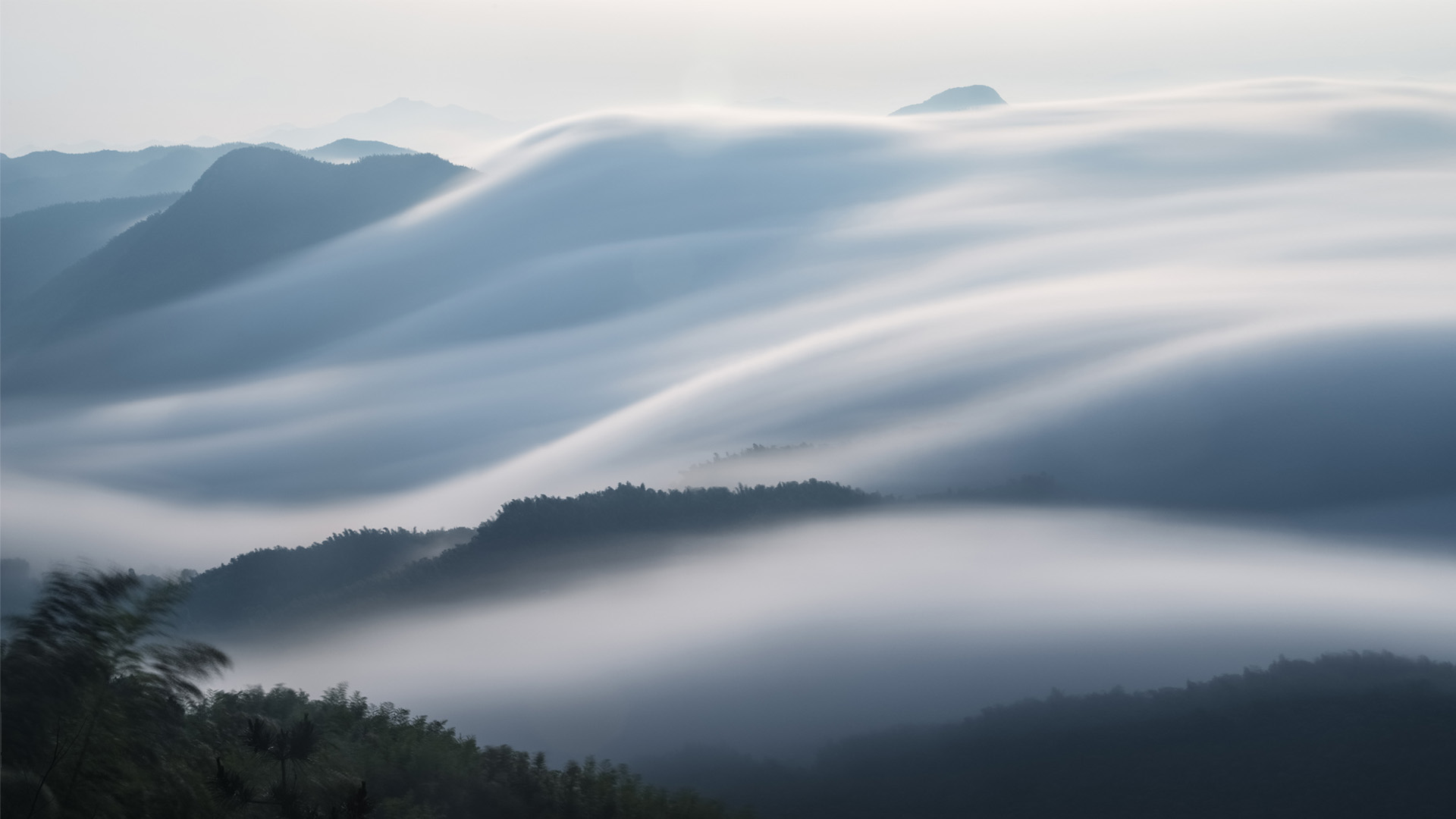 Nature image relating to the inspirational message
