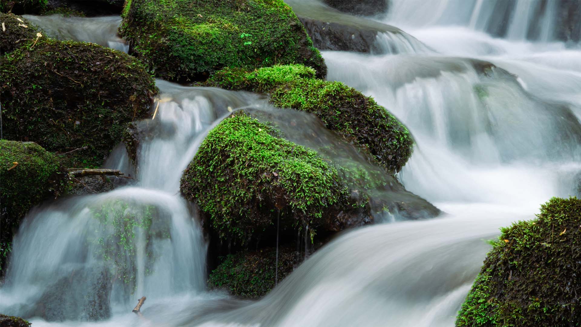 Nature image relating to the inspirational message