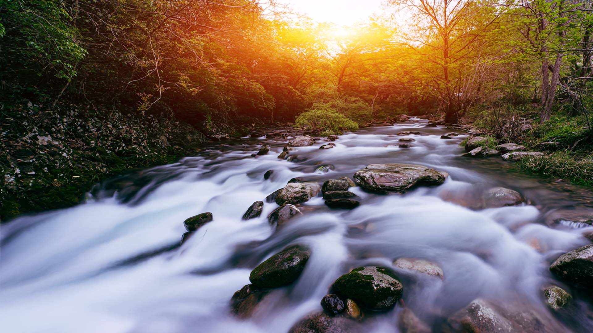 Nature image relating to the inspirational message