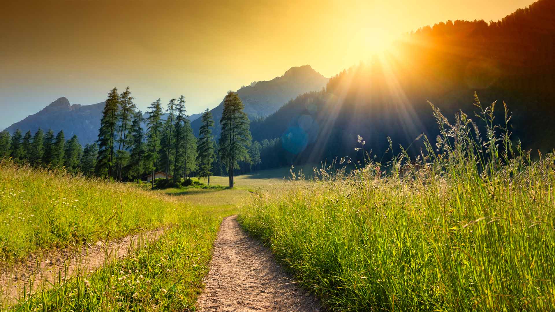 Nature image relating to the inspirational message