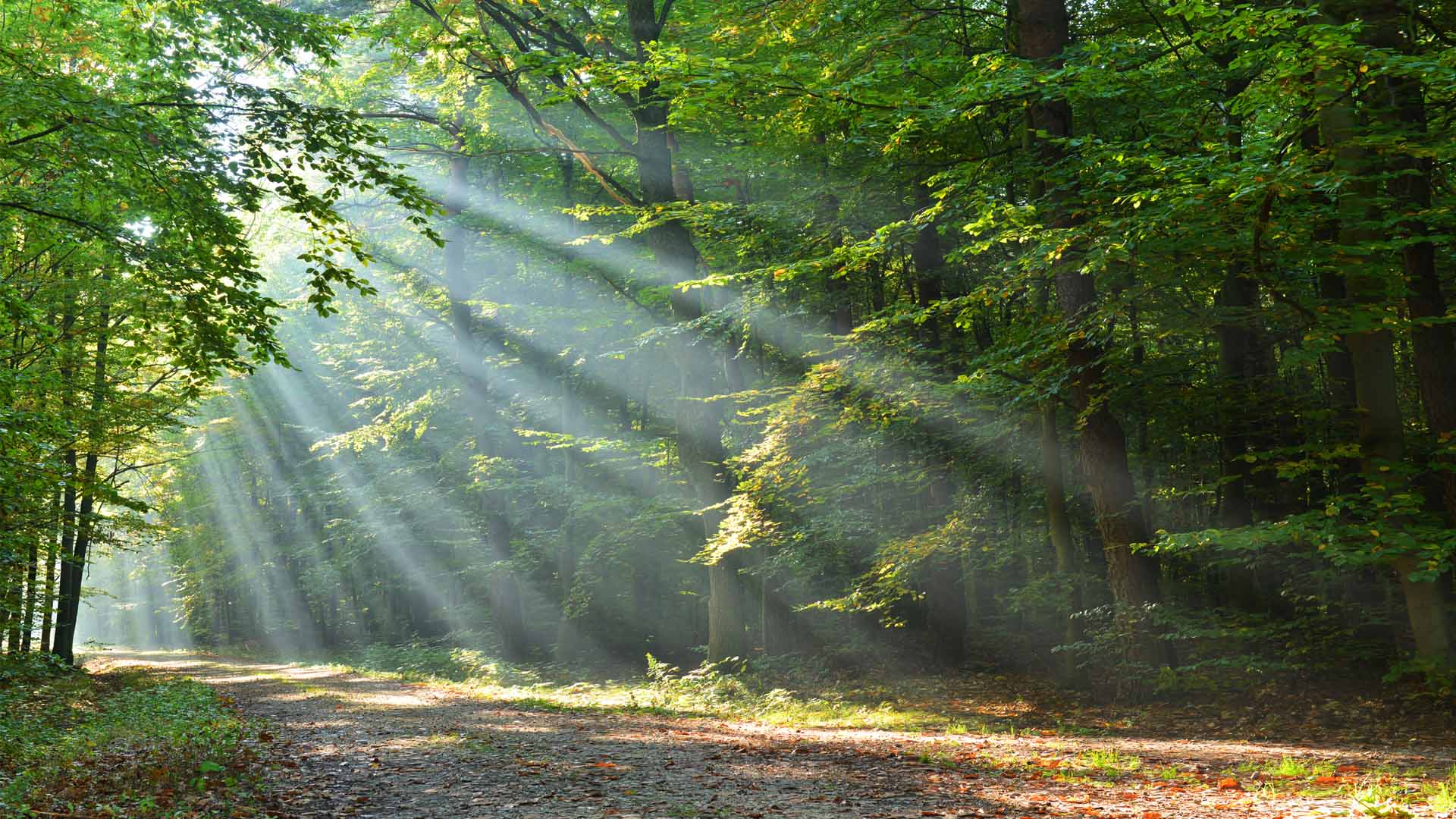 Nature image relating to the inspirational message