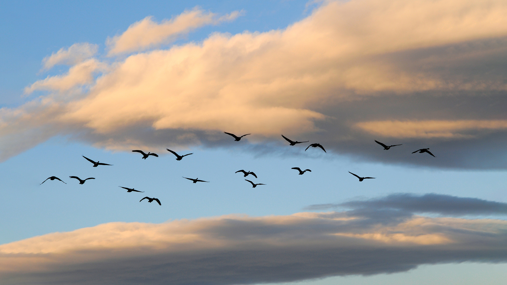 Nature image relating to the inspirational message