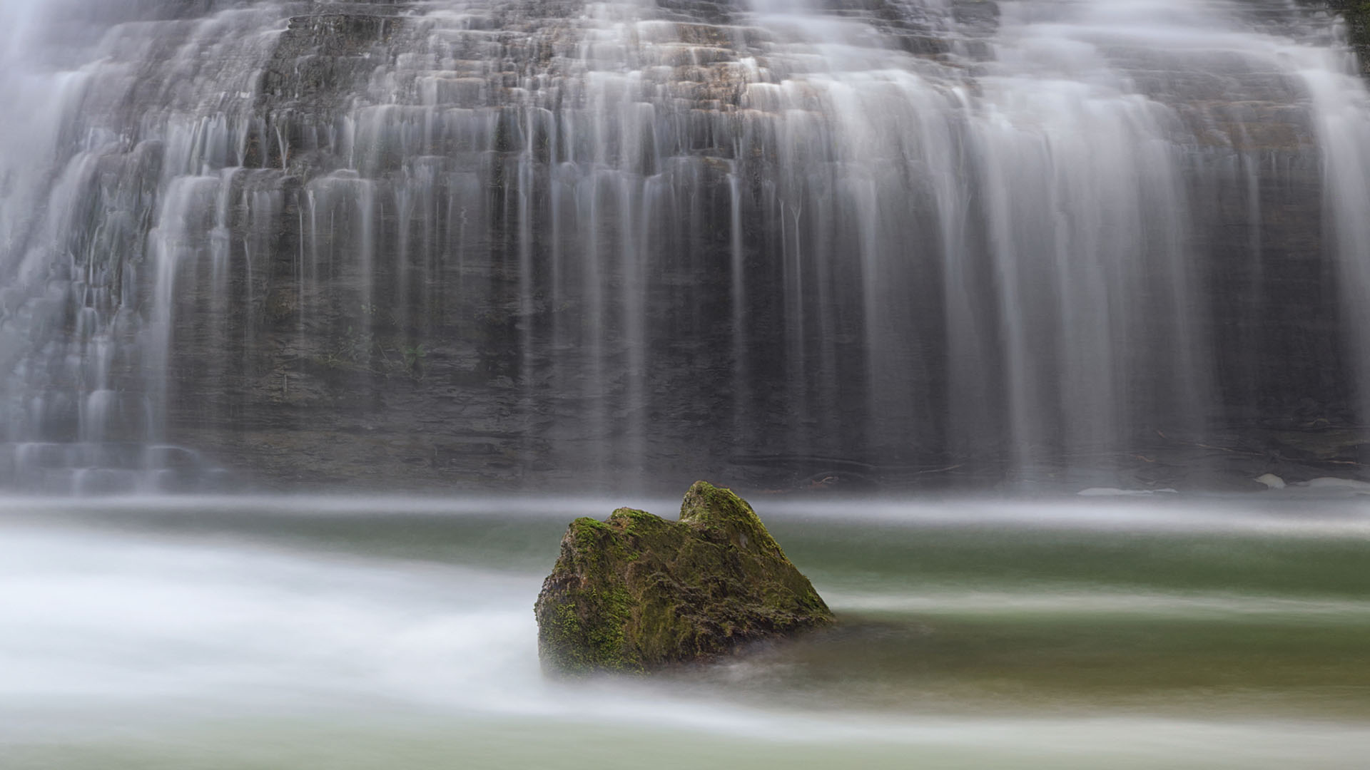 Nature image relating to the inspirational message