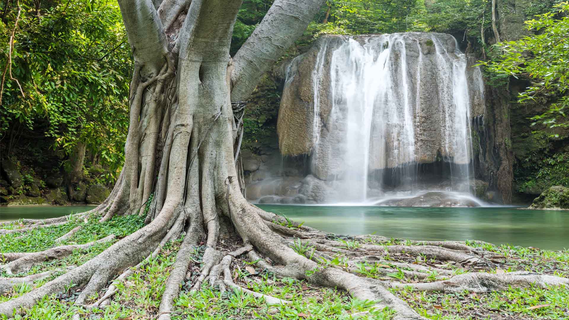 Nature image relating to the inspirational message