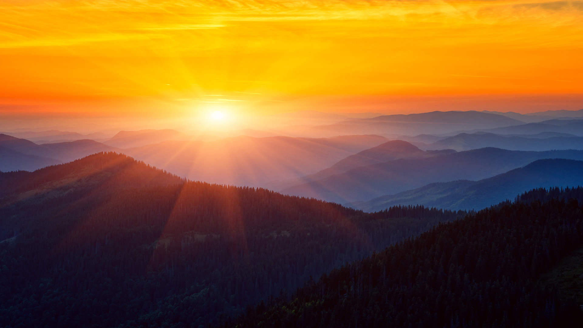 Nature image relating to the inspirational message