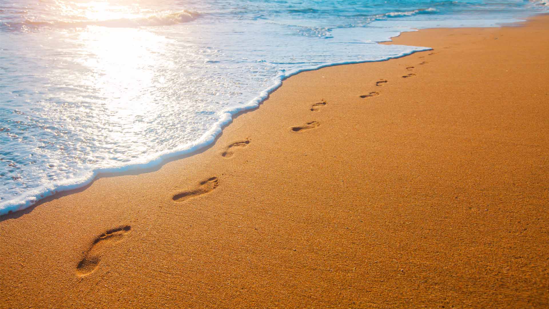Nature image relating to the inspirational message