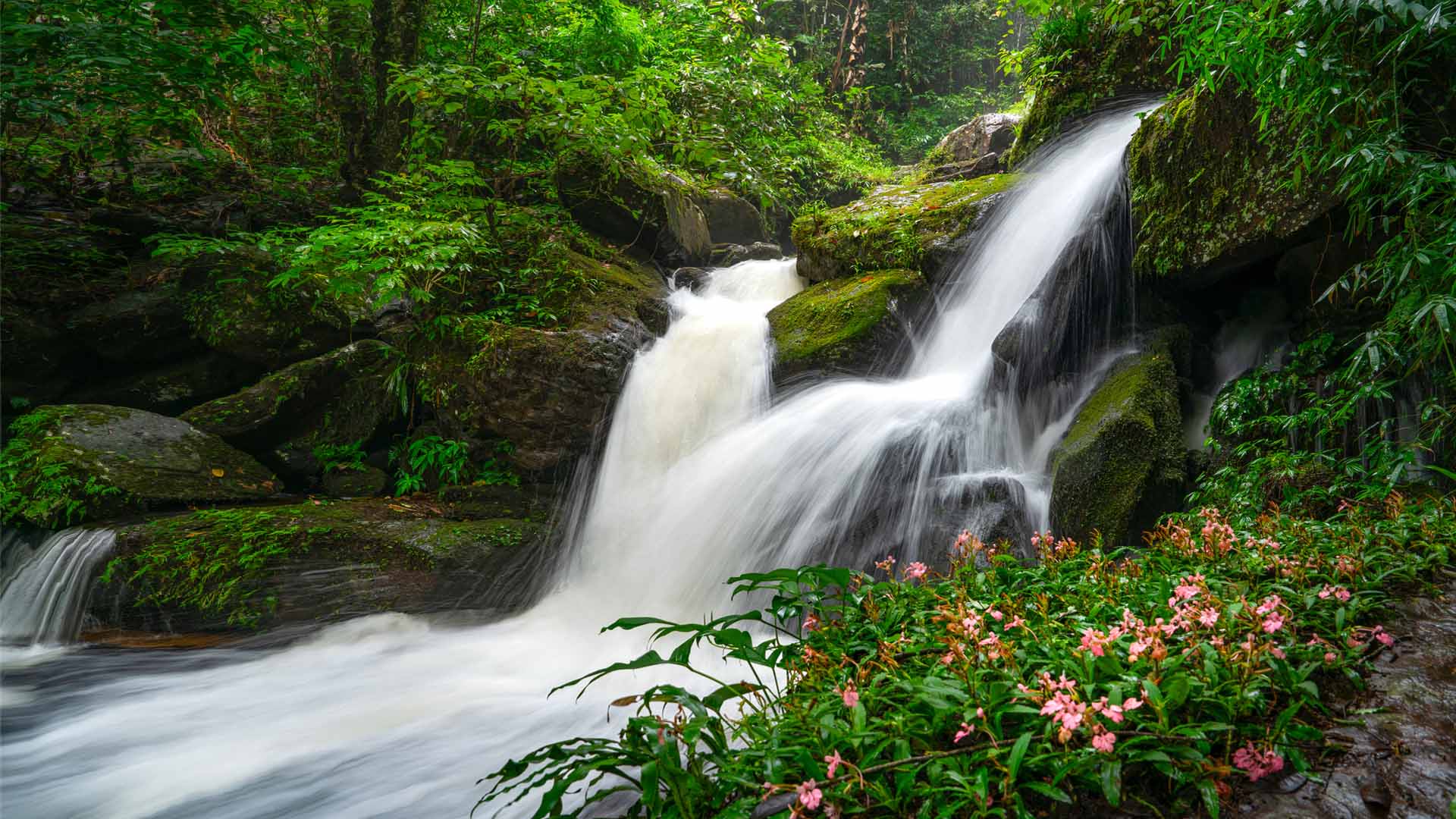Nature image relating to the inspirational message