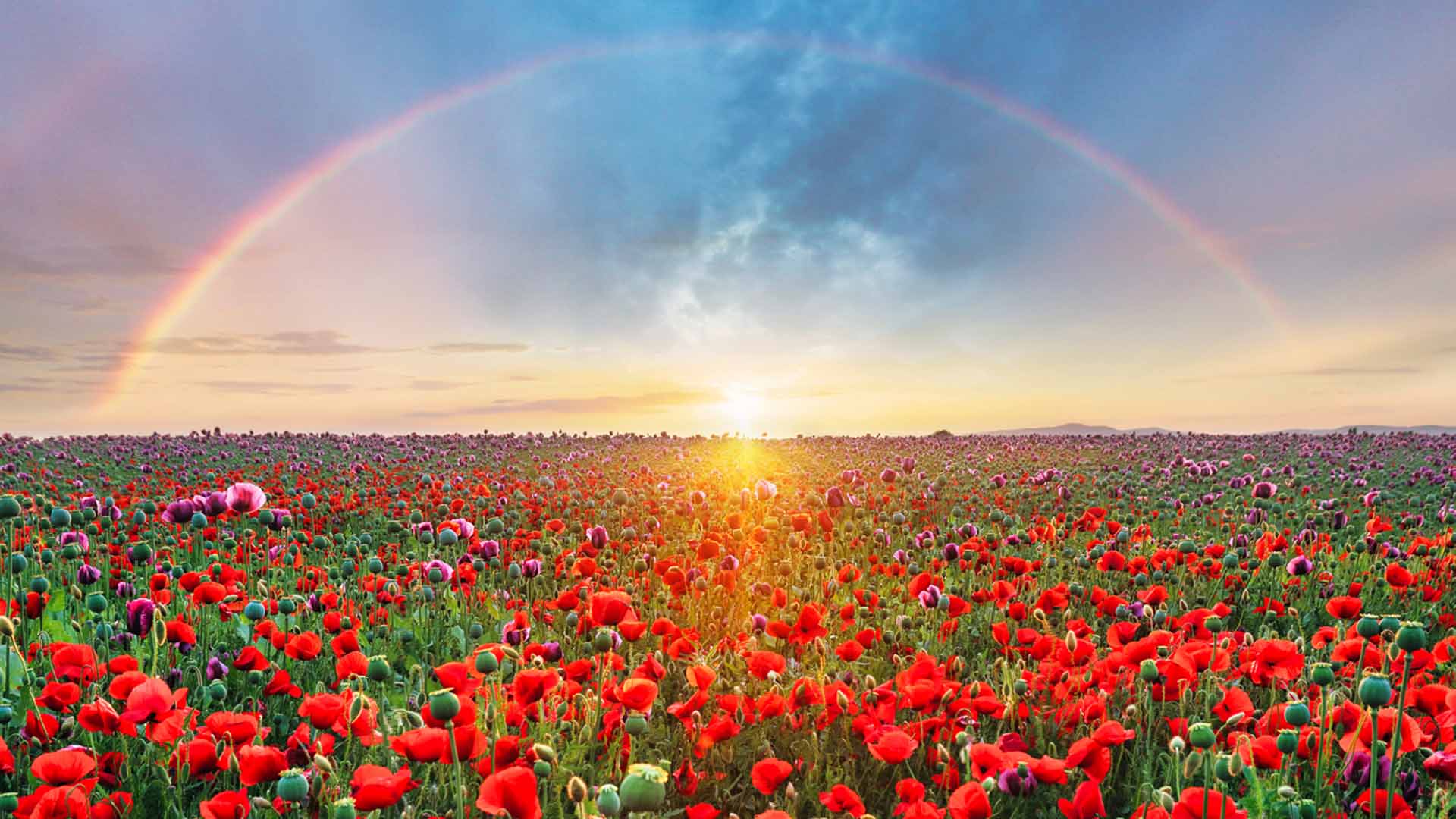 Nature image relating to the inspirational message