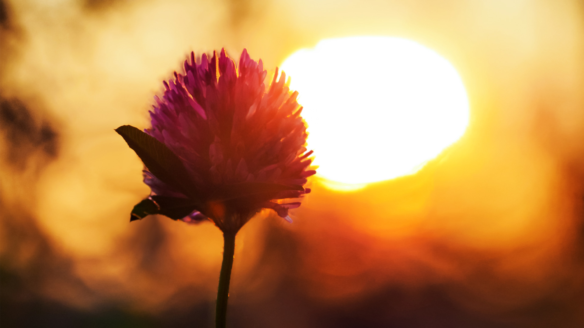 Nature image relating to the inspirational message