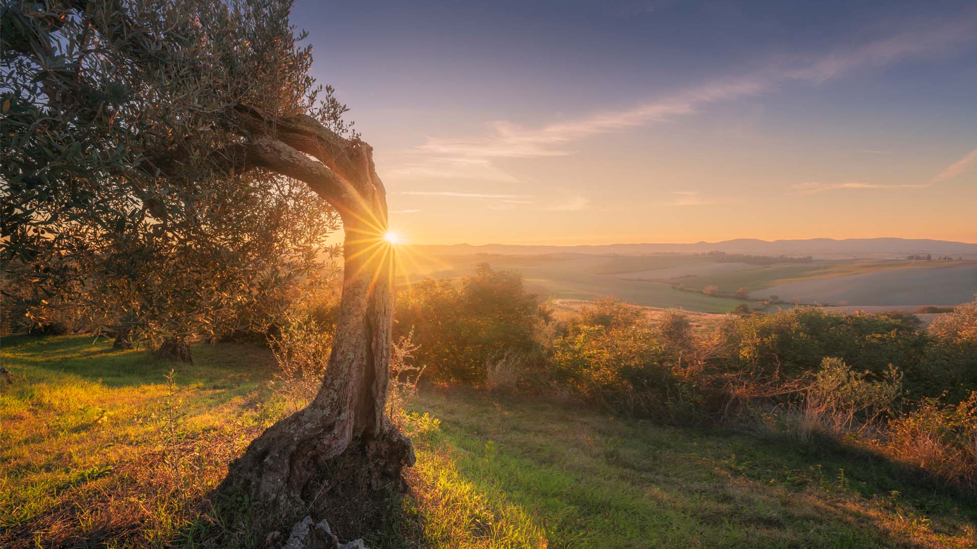 Nature image relating to the inspirational message