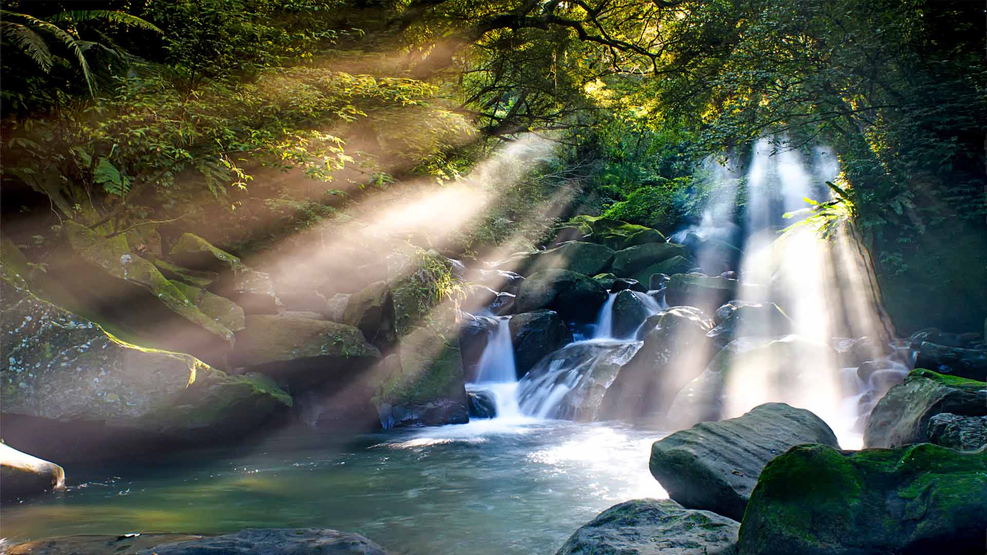 Nature image relating to the inspirational message