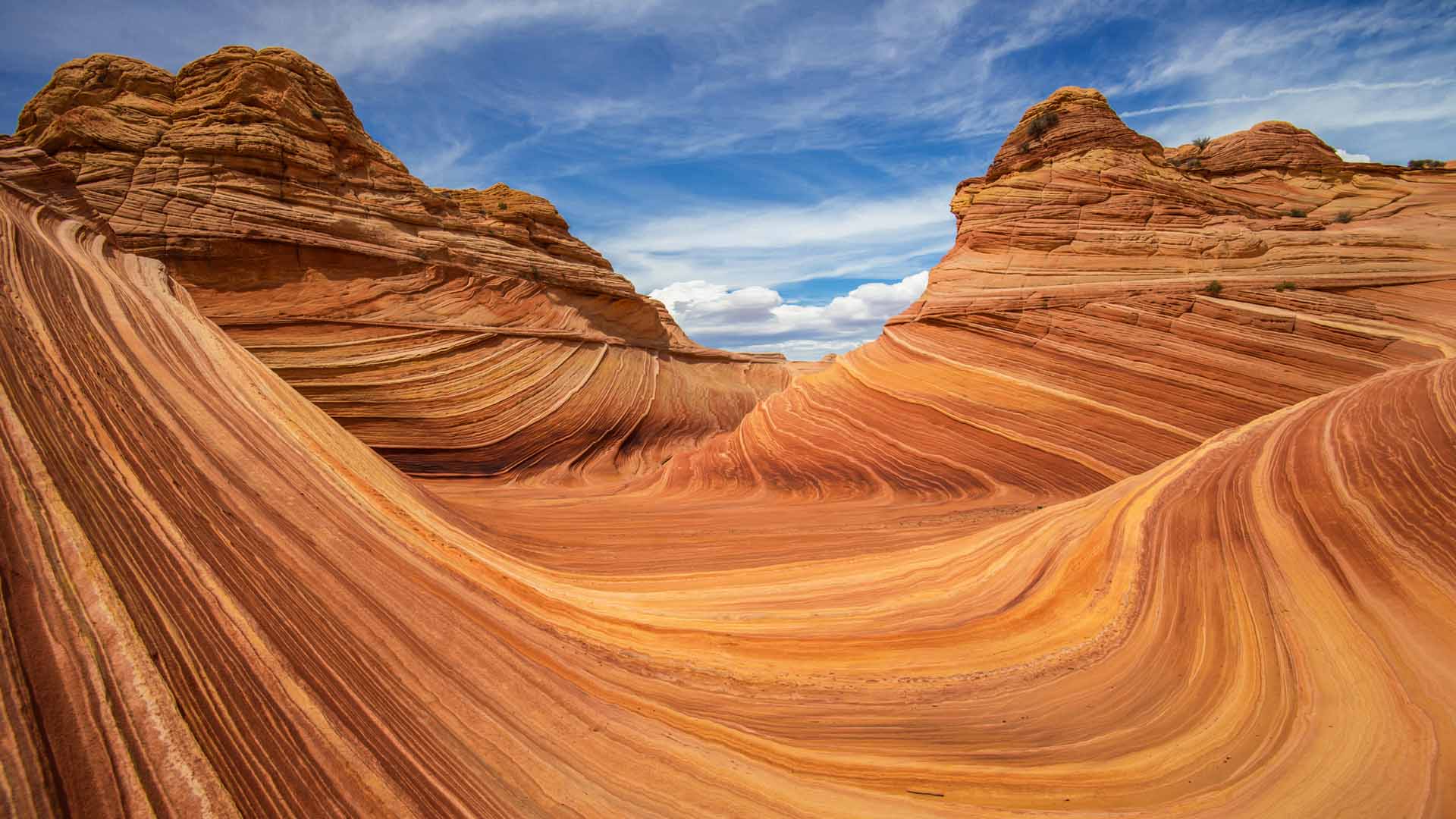 Nature image relating to the inspirational message