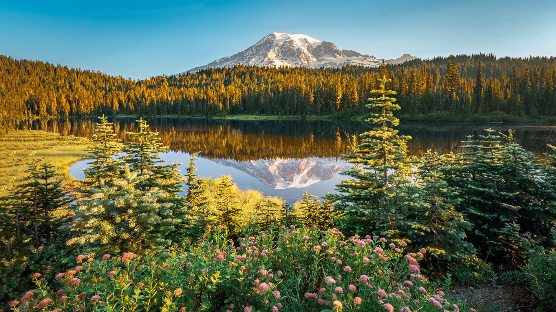Nature image relating to the inspirational message