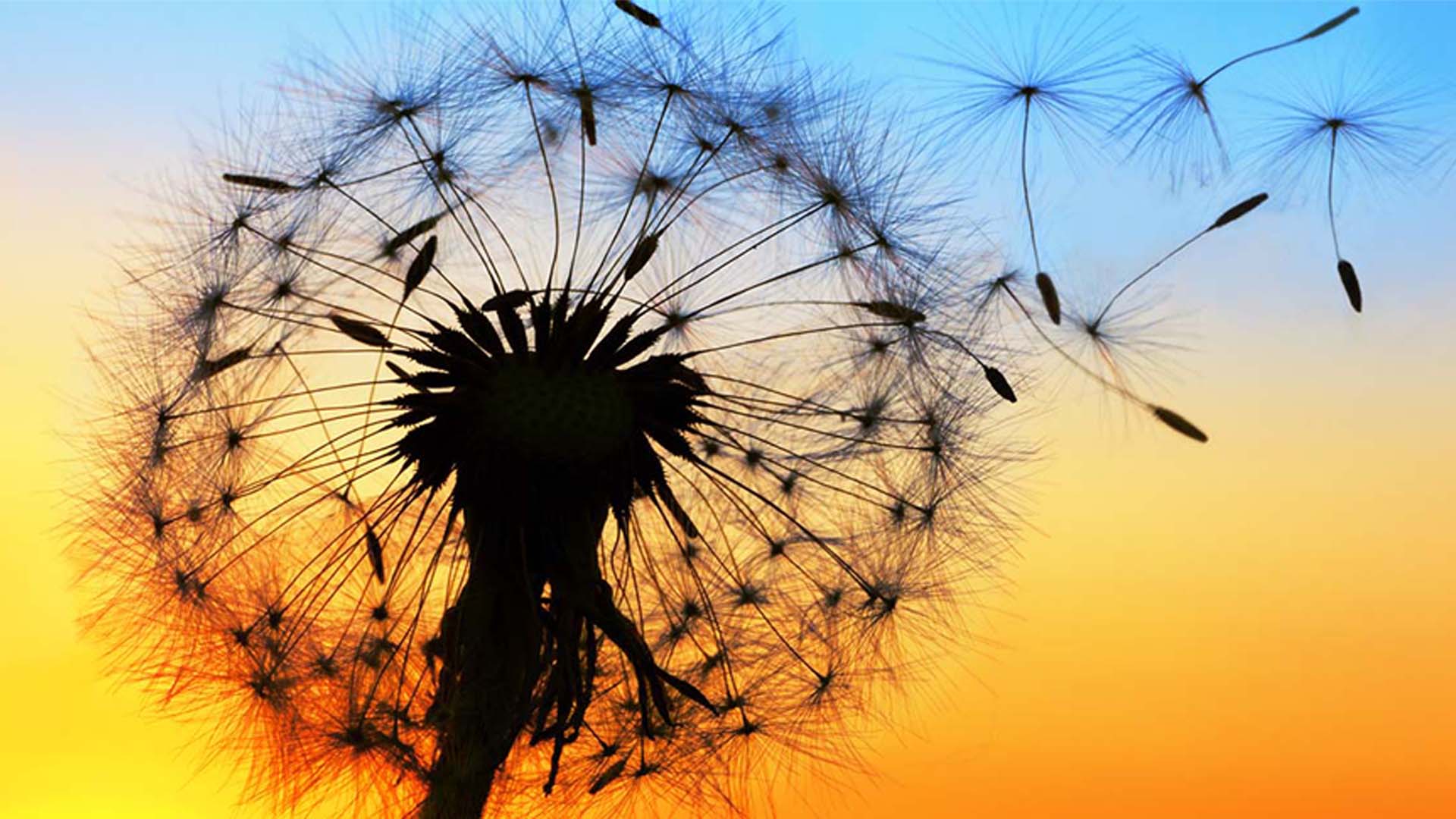 Nature image relating to the inspirational message