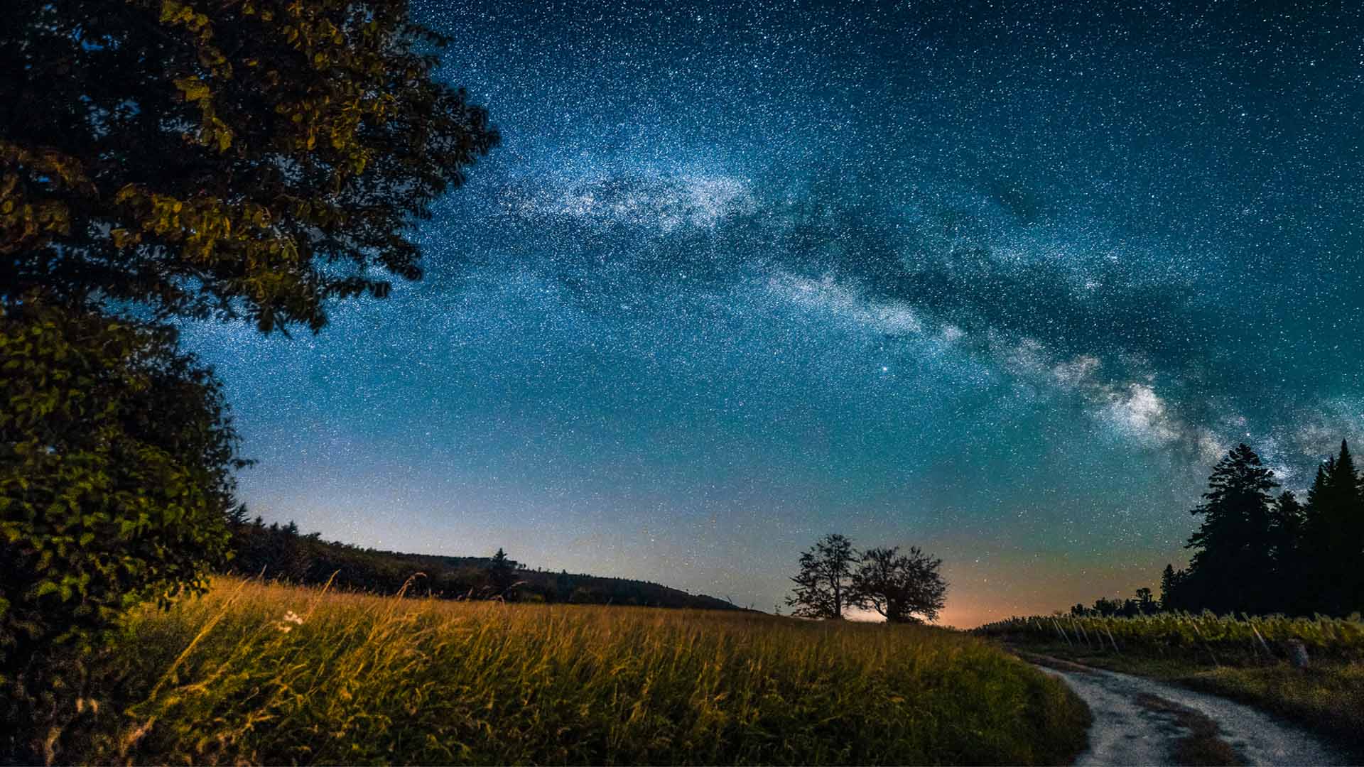 Nature image relating to the inspirational message