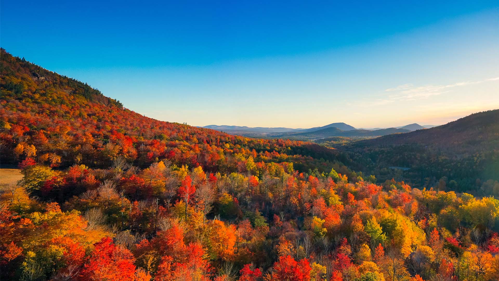 A vibrant autumn landscape showing a forest of trees with bright red, orange, and yellow leaves covering rolling hills under a clear blue sky during sunset.