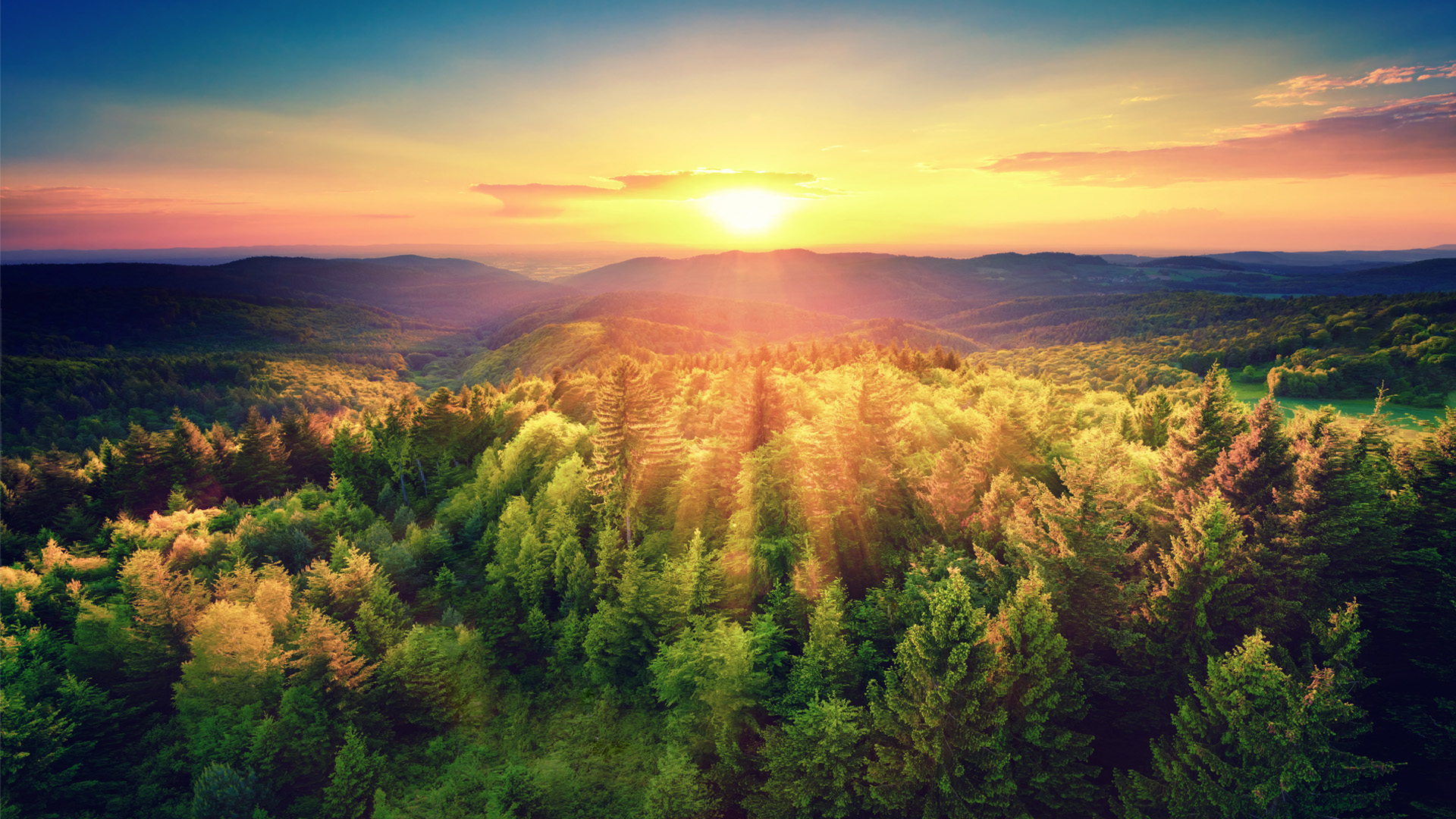 Sunset over a dense forest with sun rays illuminating green trees and distant rolling hills under a partly cloudy sky.