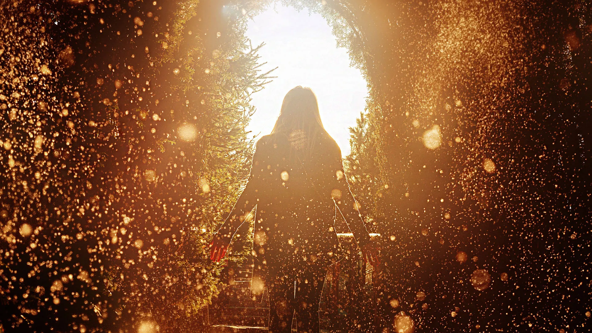 Receive the Comfort of Sacred Light