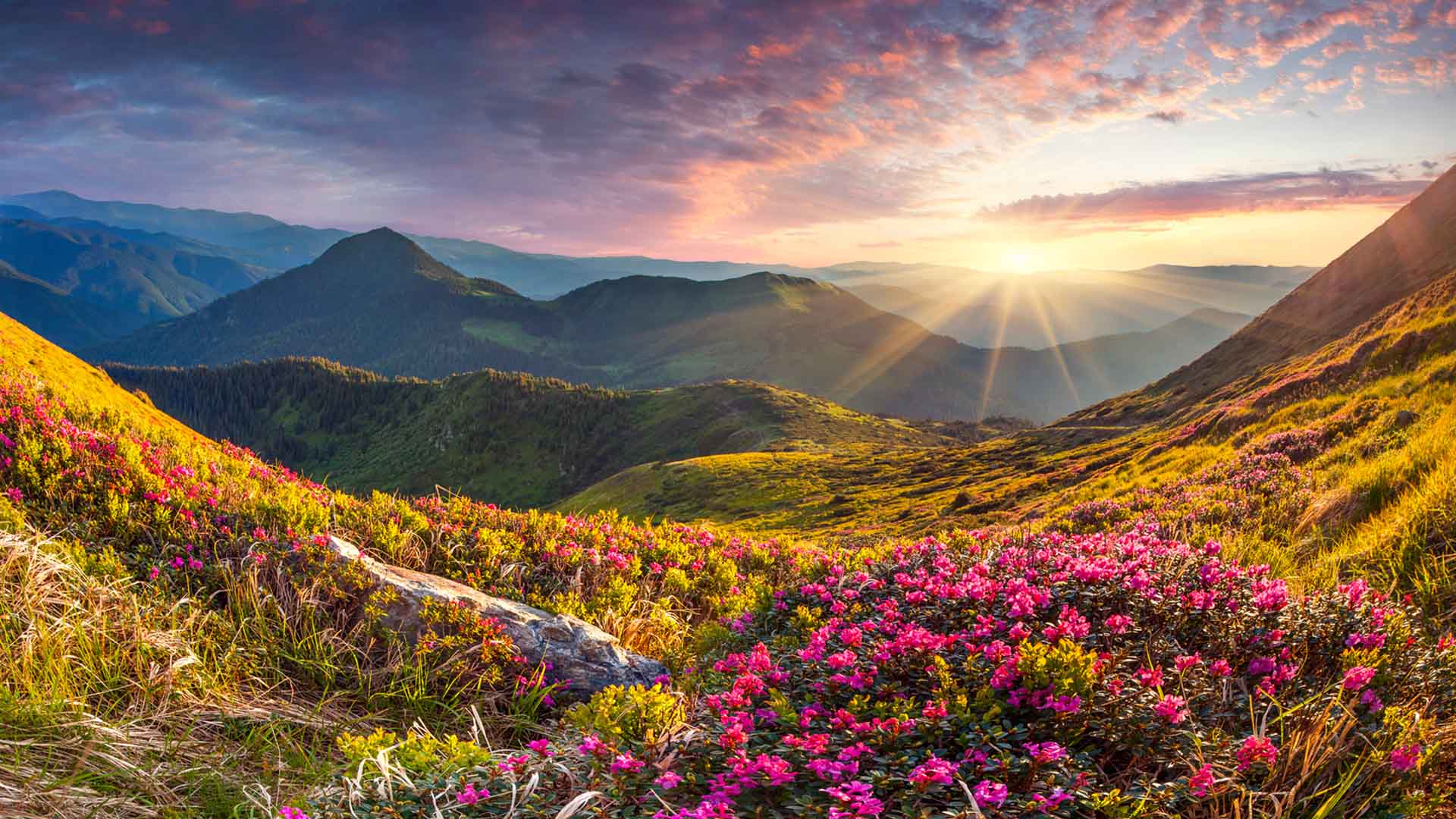 Nature image relating to the inspirational message