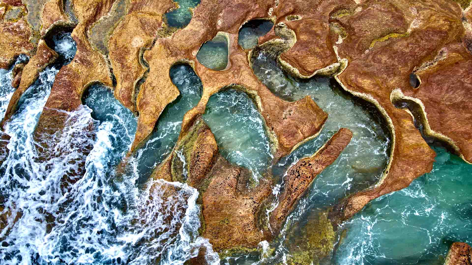 Nature image relating to the inspirational message