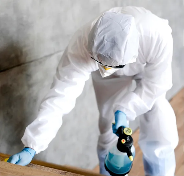 Person in weißem Schutzanzug mit blauen Handschuhen hält eine blaue Sprühflasche und arbeitet in Innenraum mit grauer Wand.