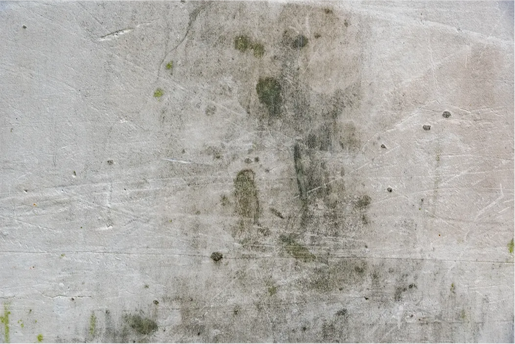 Wand mit grauen Flecken und Schimmelbildung auf hellem Putz.
