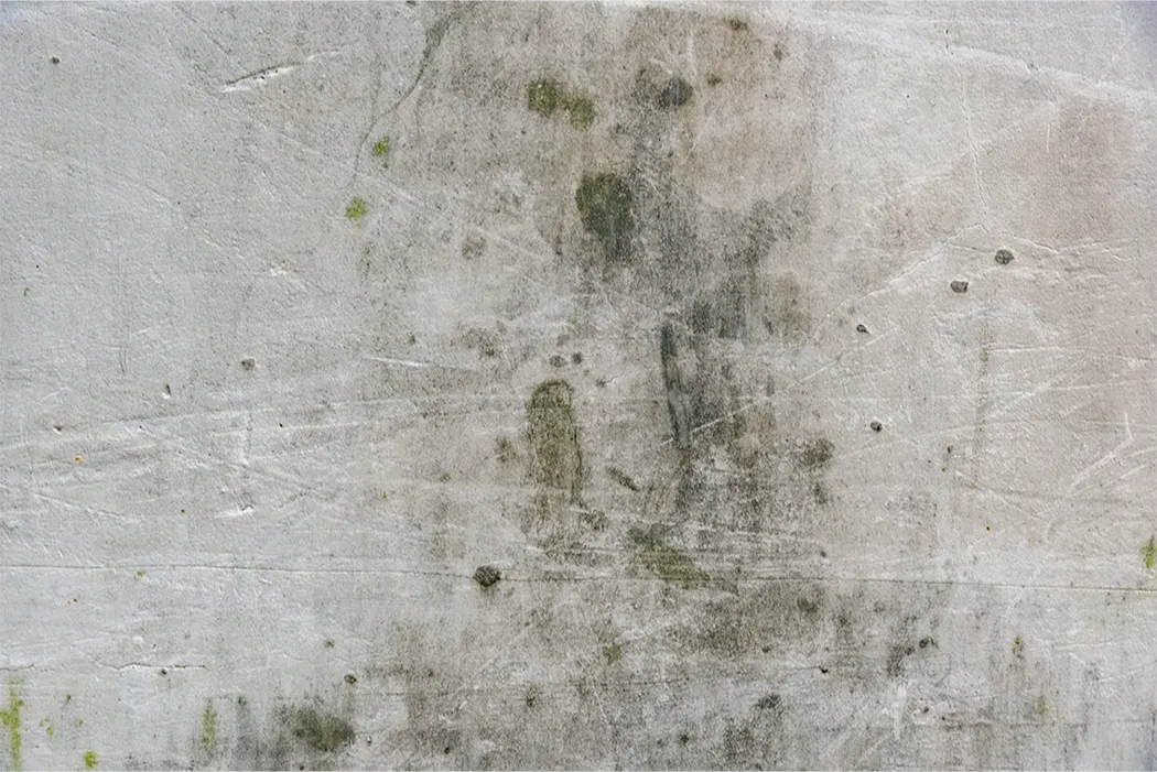 Wand mit Flecken von Schimmel und Verfärbungen auf einer grauen Oberfläche.