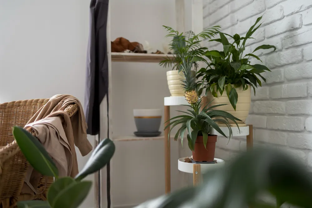 Wohnzimmer mit verschiedenen grünen Zimmerpflanzen auf einem weißen Holzregal neben einer weißen Ziegelwand und einem Sessel mit beigem Pullover.