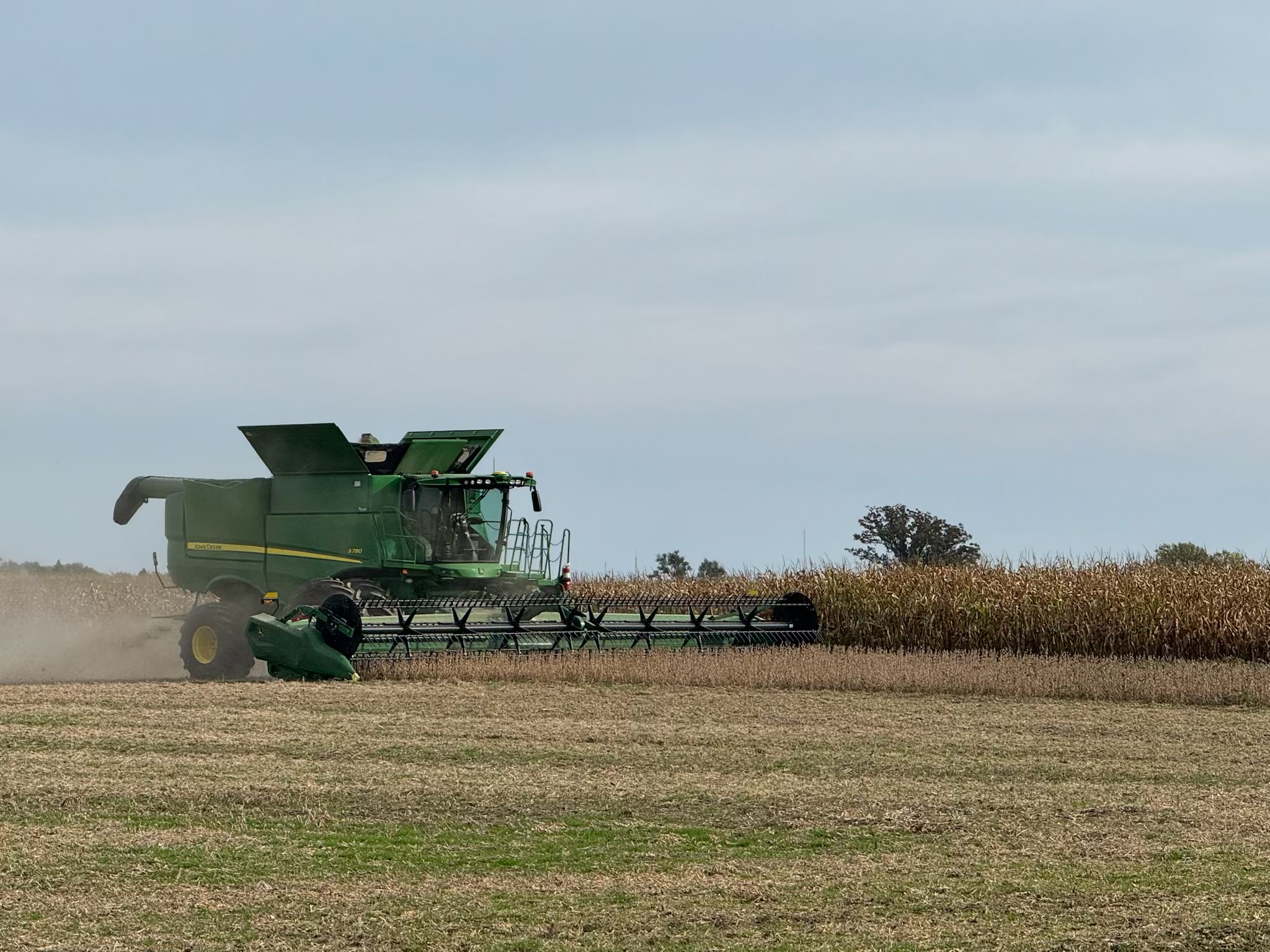 A combine harvesting in a GreenMark Growing Project field.